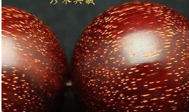 金星小叶紫檀