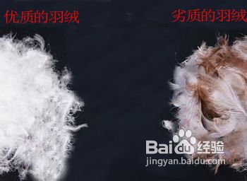 中老年羽绒服选购技巧