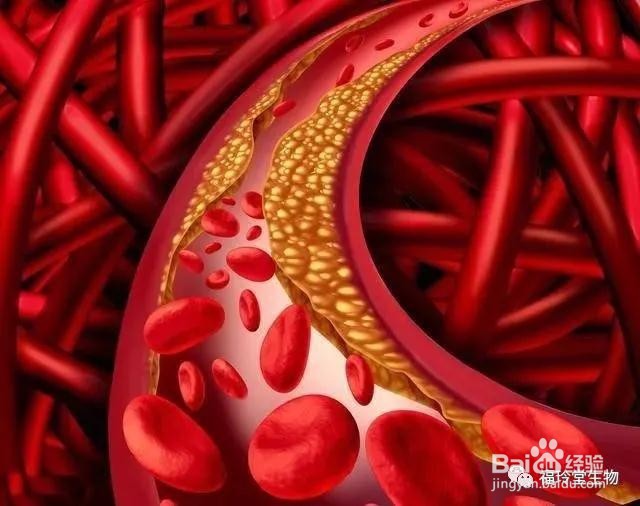 六个小知识帮助你改善血液循环