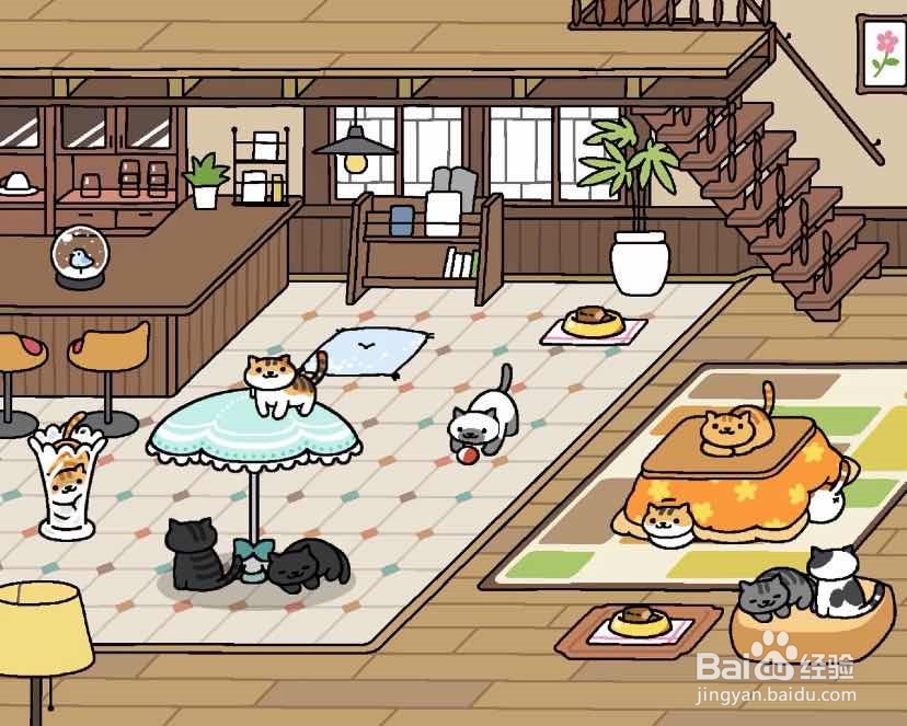 猫咪后院:佛系养猫攻略