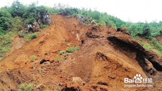 野外遭遇山体滑坡应该怎样逃生?
