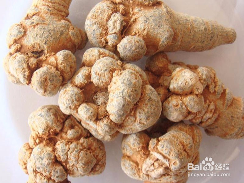 三七粉常见用法