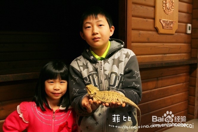 温哥华自然公园珍奇爬行动物展