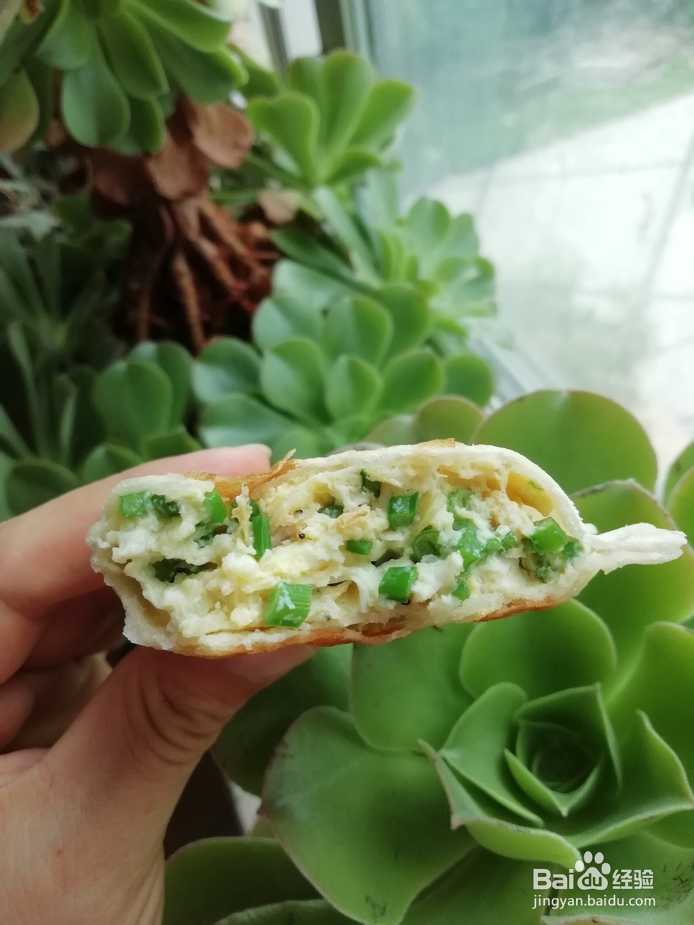 自己做韭菜鸡蛋虾皮合饼海鲜美食