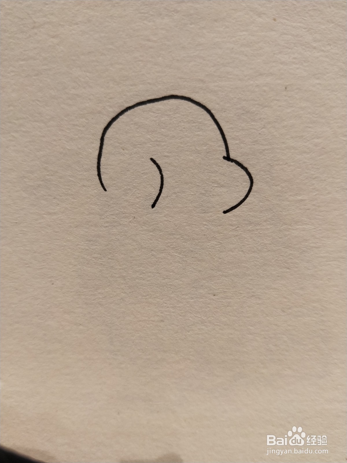 怎样画简笔画——我是最可爱的鸭