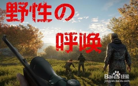 猎人野性的呼唤怎么玩