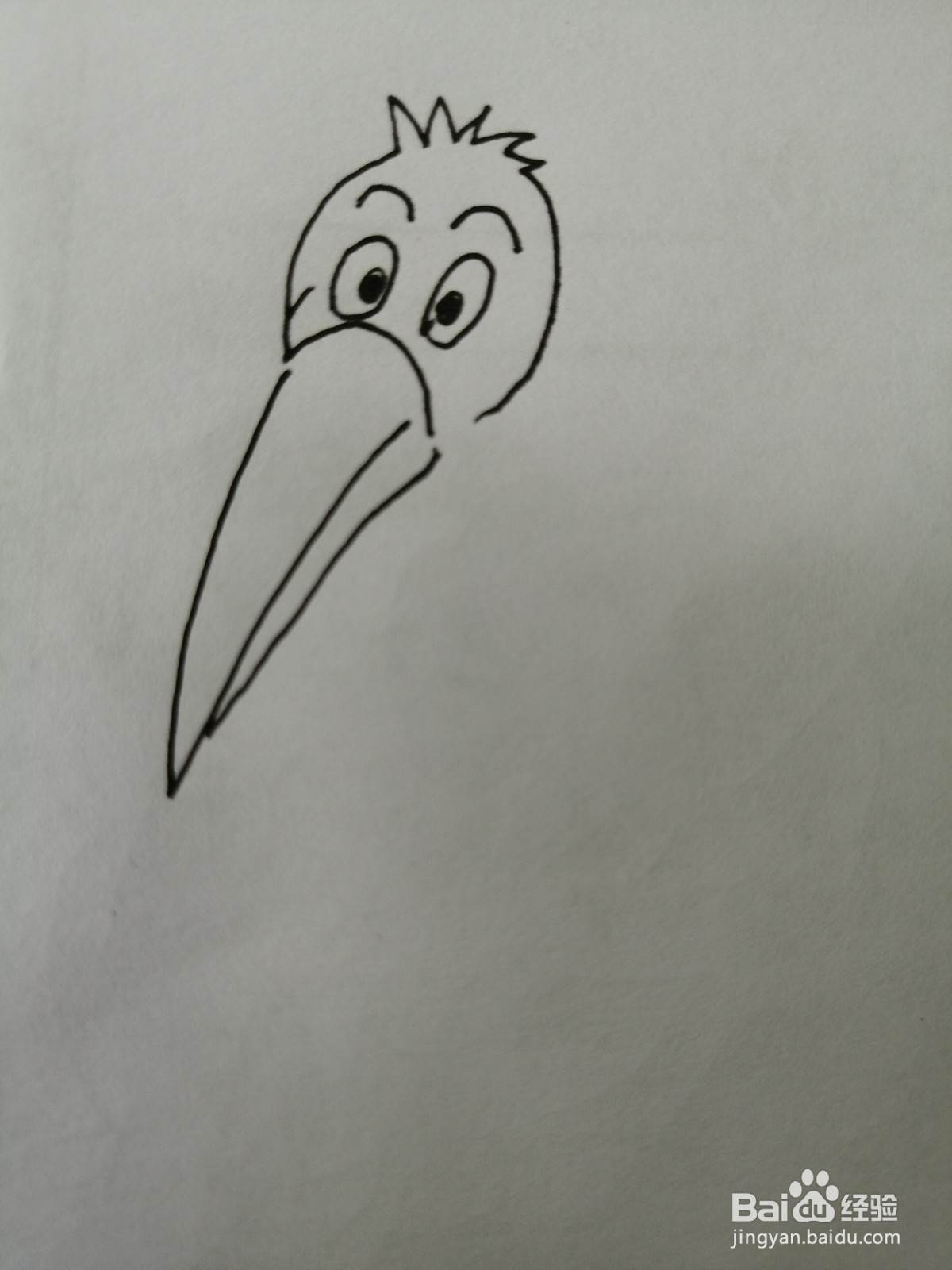 简笔画小鸟怎么画