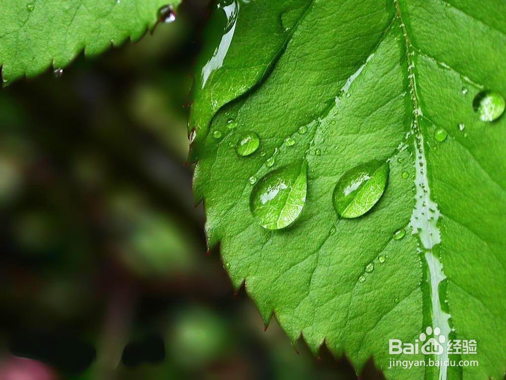 久病床前，亲人不弃