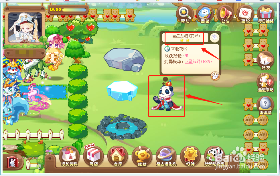 奥比岛中的动物巨星熊猫怎么获得