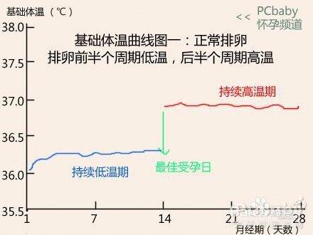 7种基础体温曲线图解读