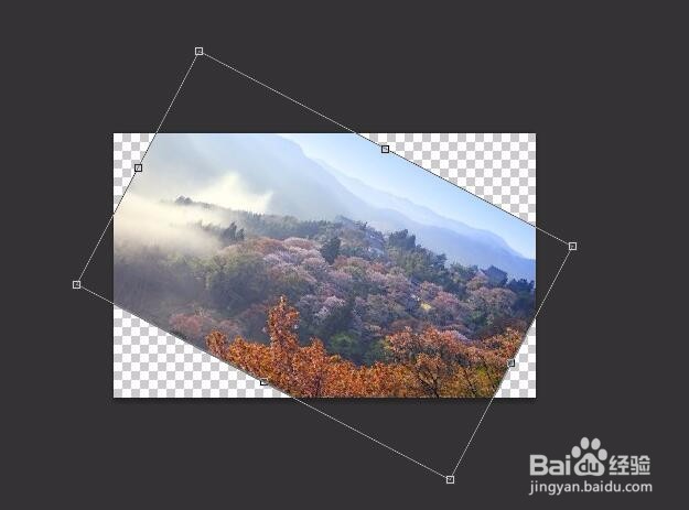 如何用photoshop把一张图片旋转任意角度