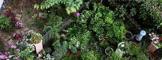 如何开好一家园艺店（实体店）?