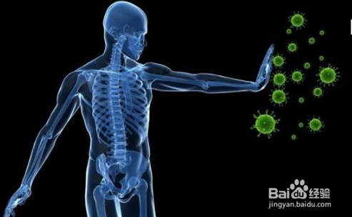 免疫系统是如何进化出来的