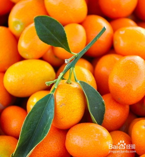 橘子五大禁忌