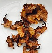 补气养胃健脾汤