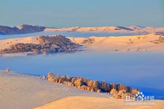 元旦去哪儿旅游即不扎堆又有美景