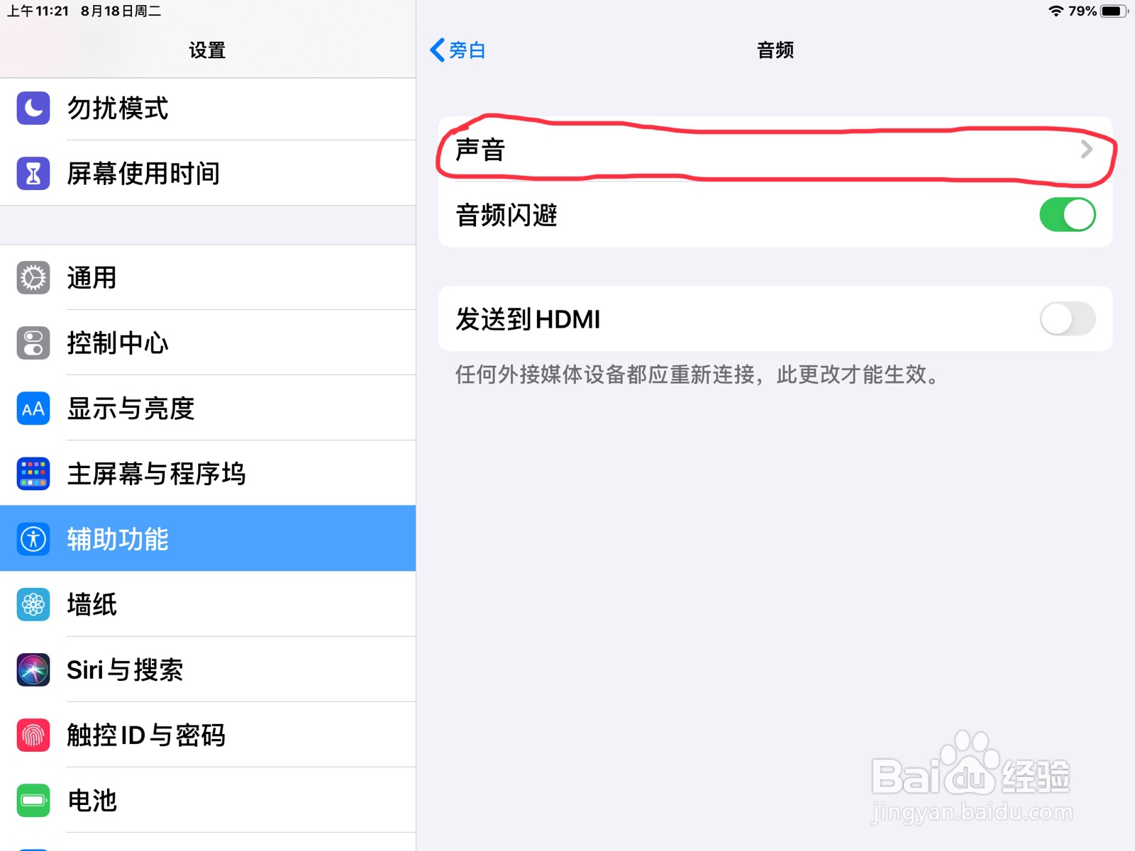 iPad怎么在旁白设置项目已存储的预览