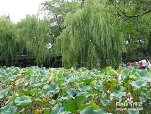 国庆节旅游景点推荐