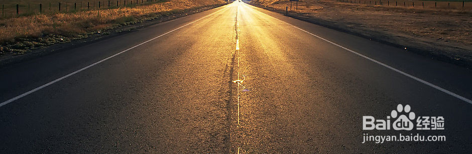 怎么样进行标书翻译？