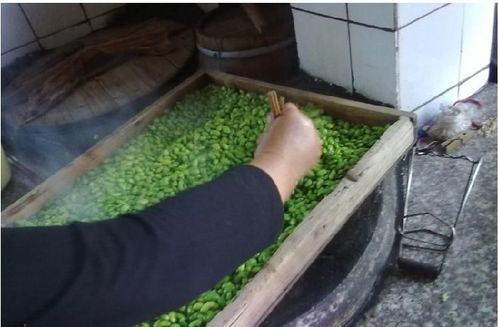 怎样制作熏青豆