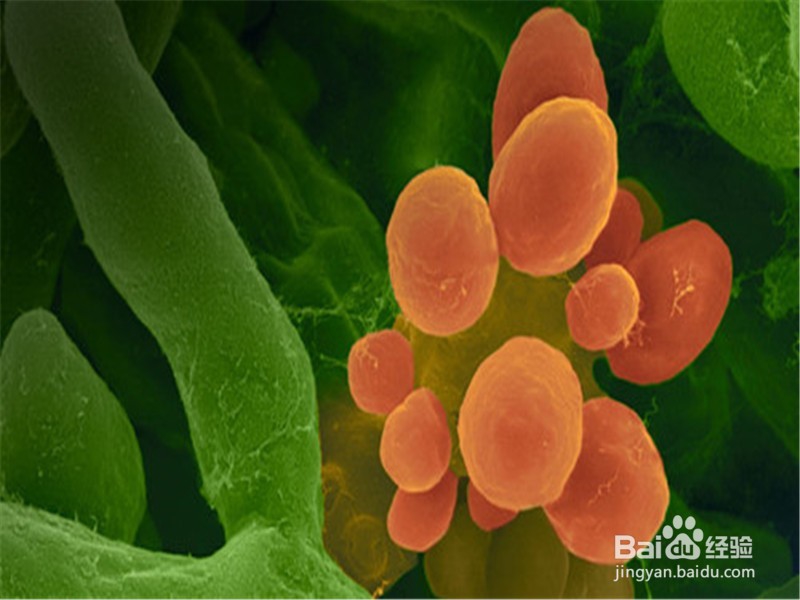 春季怎样护理皮肤?