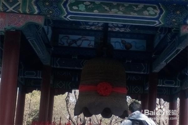 济南大明湖游记