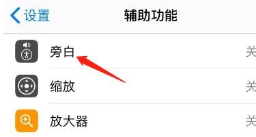 怎么开启iPhone旁白中的声音