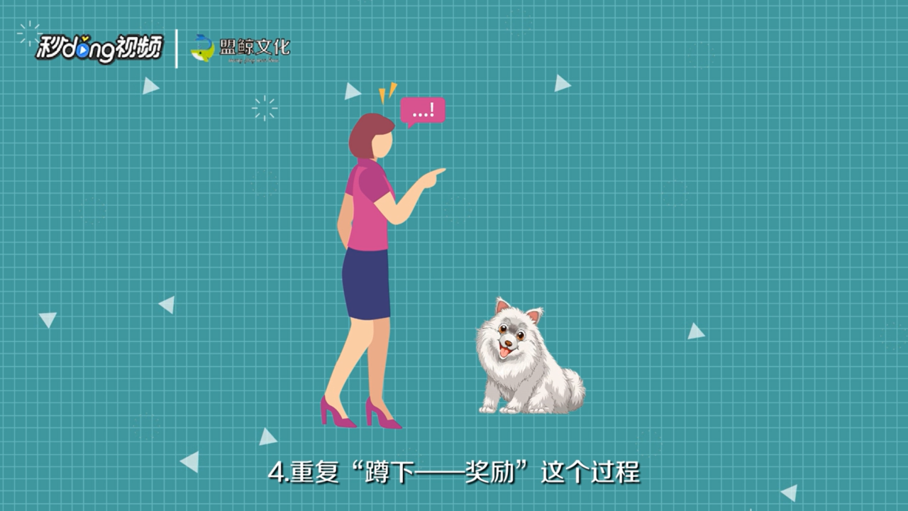 如何训练萨摩耶