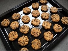 巧克力奇普饼干