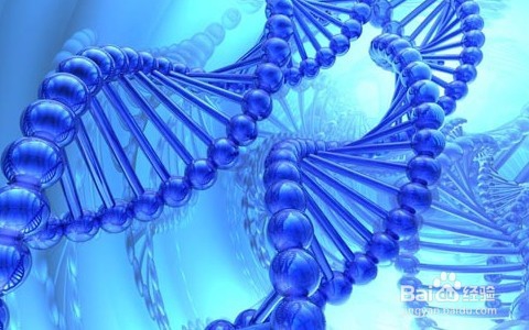 父母遗传性雀斑会传孩子吗_如何避免遗传给宝宝