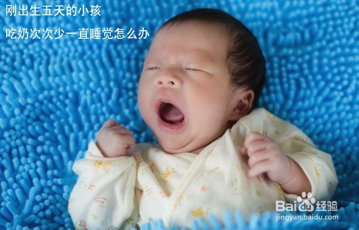 <b>刚出生五天的小孩吃奶次次少一直睡觉怎么办</b>