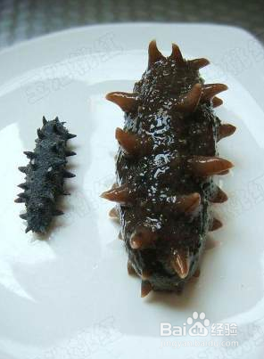 海参没发起来怎么补救