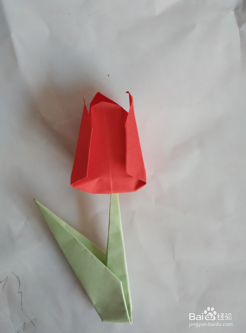 折纸郁金香的折法
