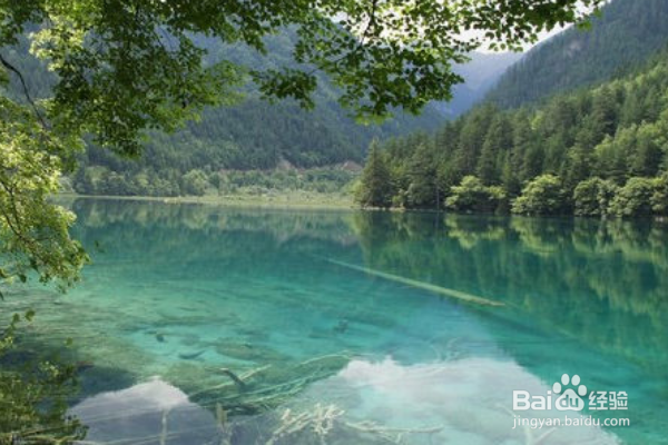 九寨沟自助游旅游攻略