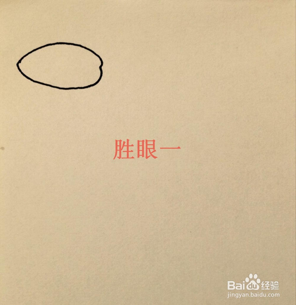 怎样画切开的小西红柿呢?