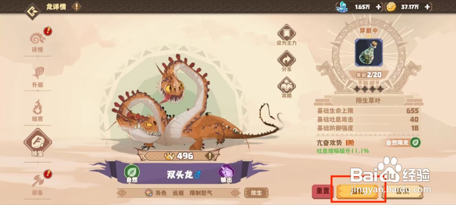 《驯龙高手》之旅：增强宝藏与奇异草叶的探索