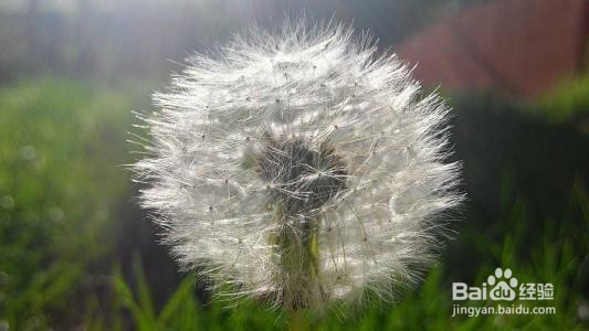 用什么可以去痘印,去痘印有什么方法