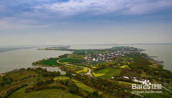 十里菜花十里桃花 莲花岛的春天美如仙境