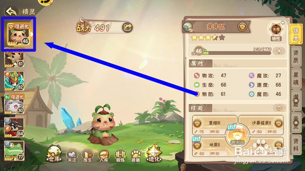 西普大陆怎么获得精灵【曼德拉鼠】?