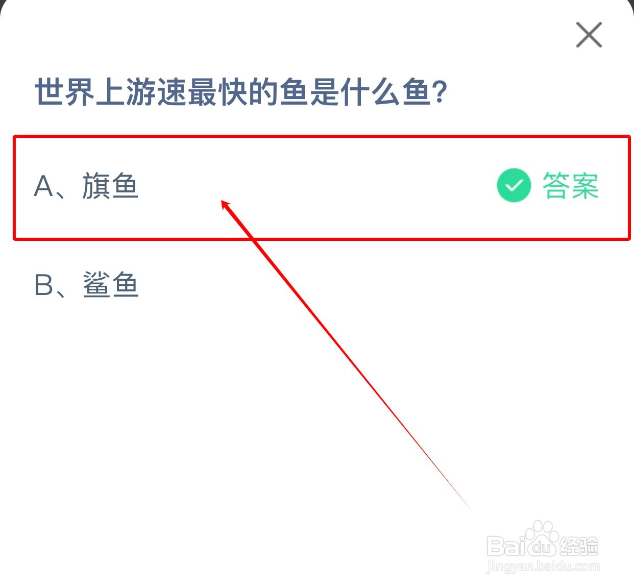 世界上游速最快的鱼是什么鱼?
