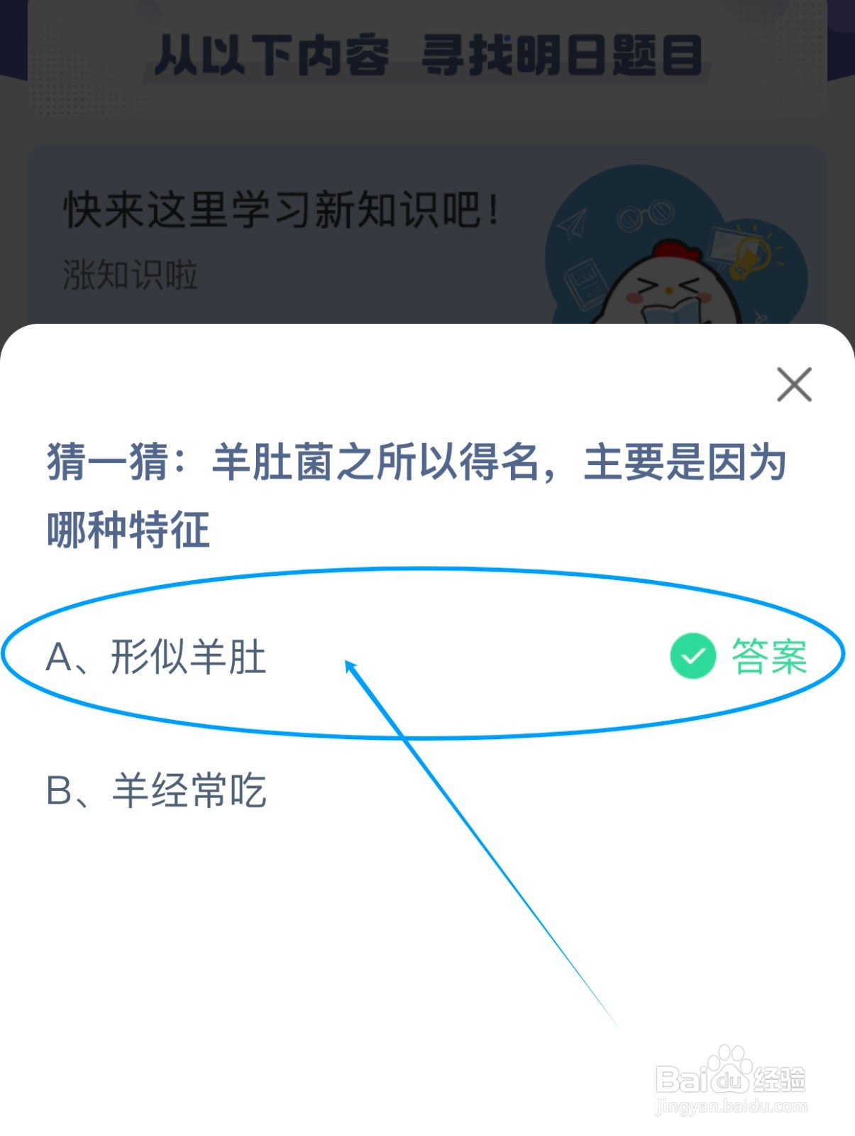 羊肚菌之所以得名主要是因为哪种特征蚂蚁庄园