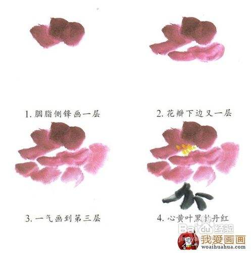 简单的国画花卉绘画教程 适合儿童或初学者 百度经验
