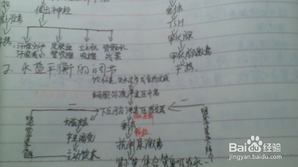 理科生学习高中生物技巧