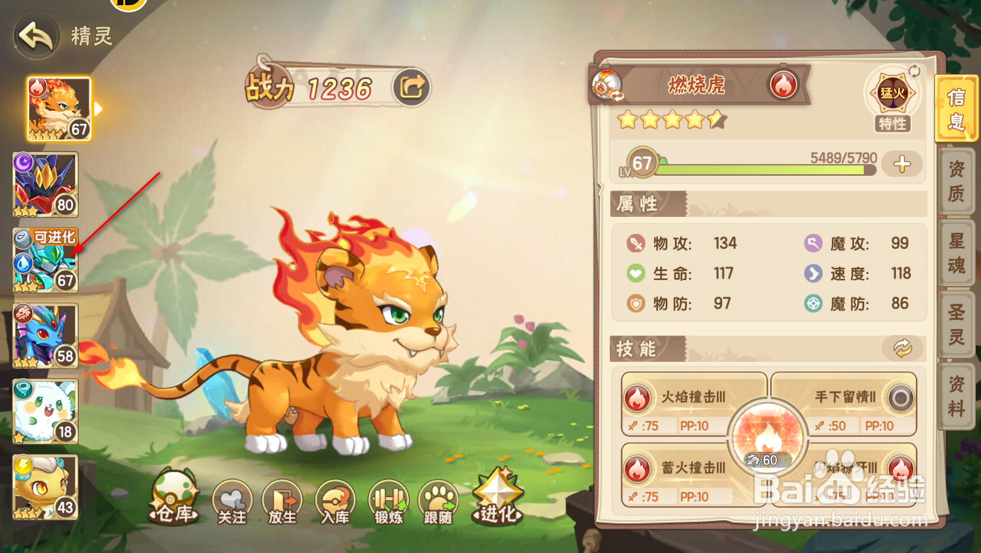 西普大陆怒海王怎么进化