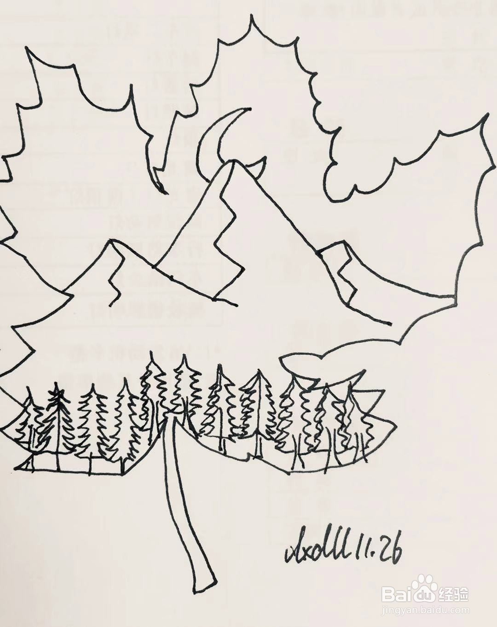 简笔画教程之叶子