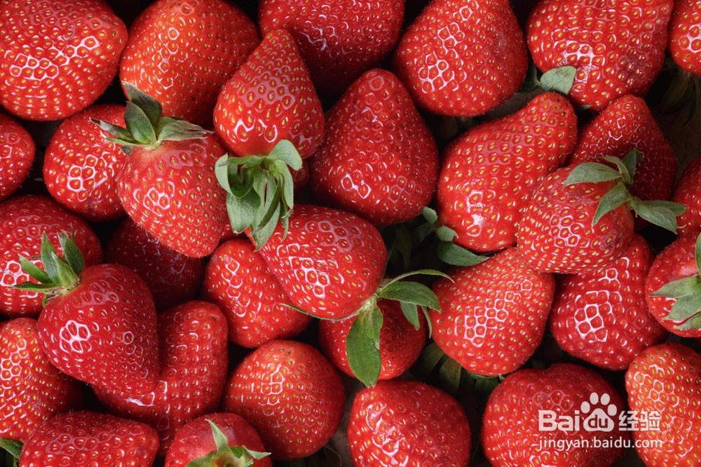 草莓苗白粉病如何防治？