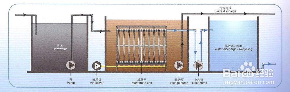 mbr膜的清洗方法?