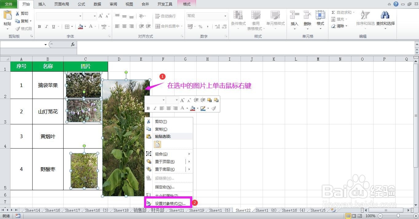 Excel表格中调整图片大小时变形了怎么办