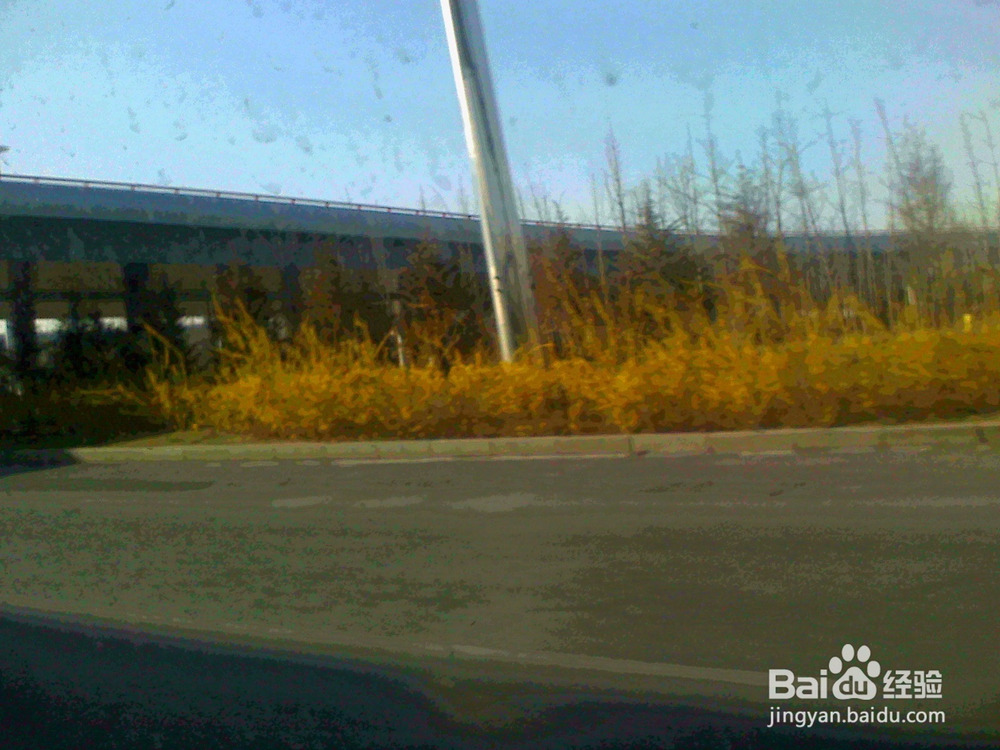 和女朋友发生政治分歧怎么办?