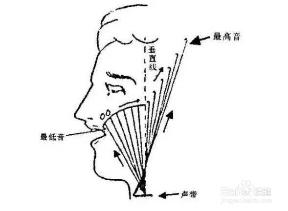 男高音换声点图片